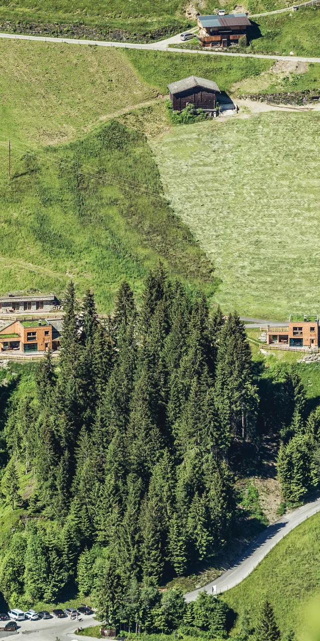 2016.06.23_lichteben.102.jpg