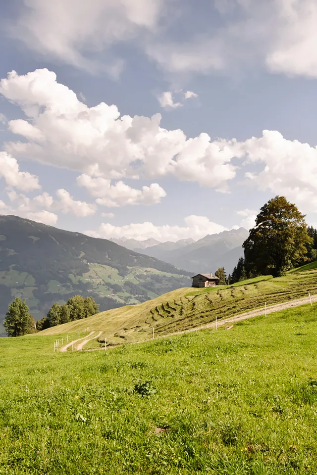 tradition_almbauer_zillertaltourismus_andreschoenherr.jpg