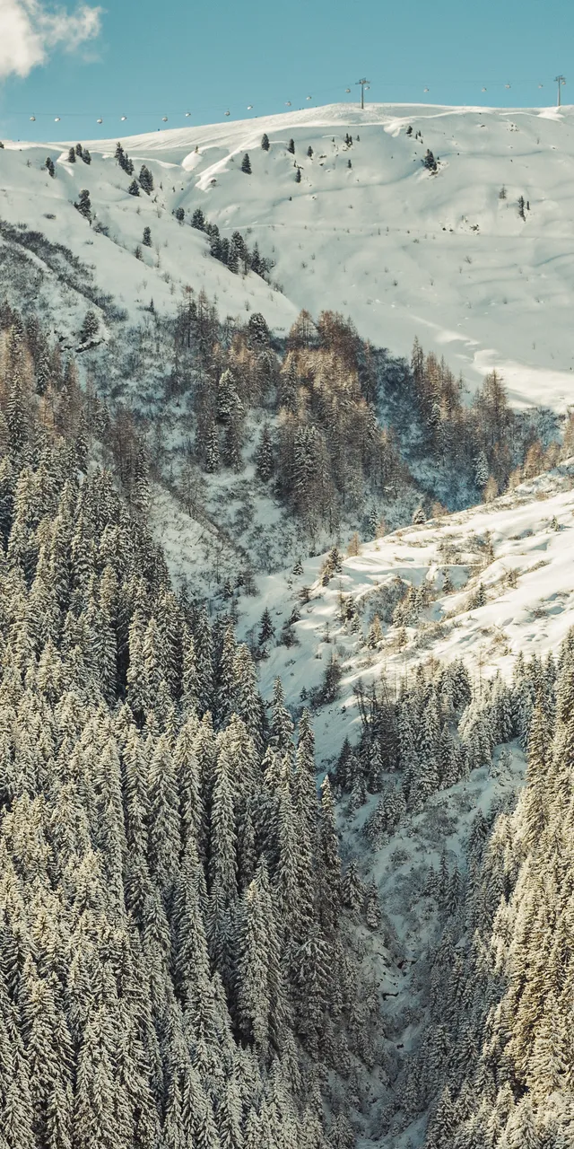 2016-02-11_rosuites-lichteben_005_-_Kopie_-_Kopie.jpg
