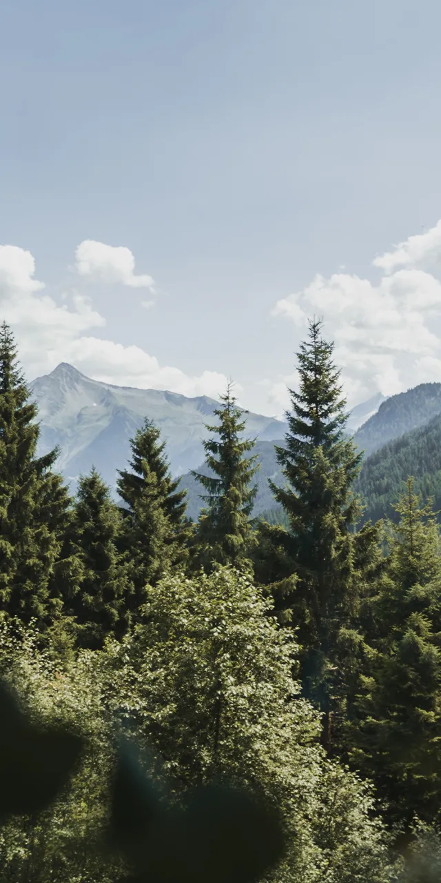aussicht_chalet.jpg