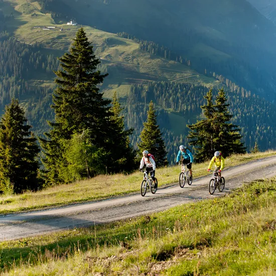 bike_innerertensausserertens_zillertaltourismus_danielgeiger5.jpg