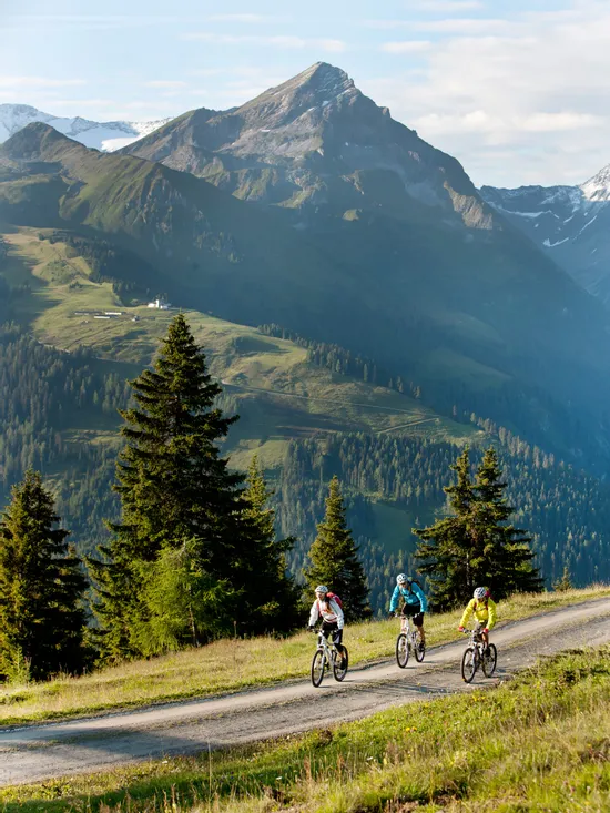 bike_innerertensausserertens_zillertaltourismus_danielgeiger5.jpg