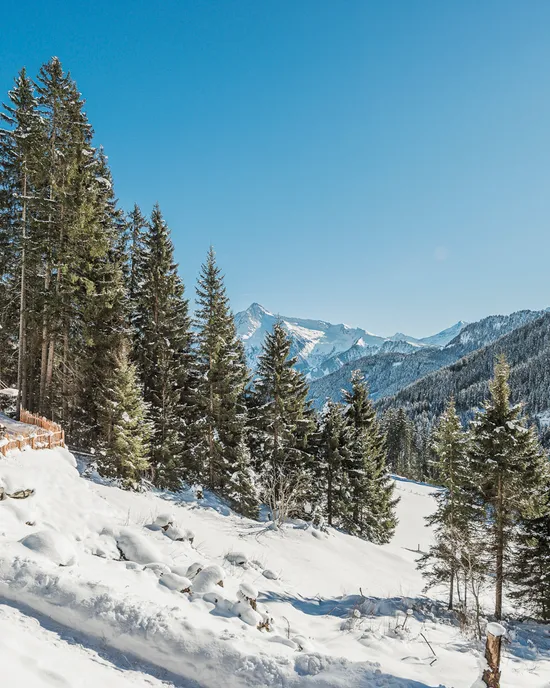 2016.01.22_ro.suites_021.web.jpg