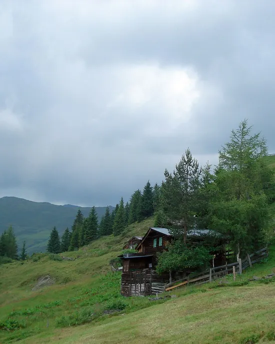Roswitha_alm_2015_022.jpg